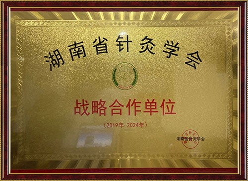 湖南省針灸學(xué)會(huì)戰(zhàn)功略合作單位